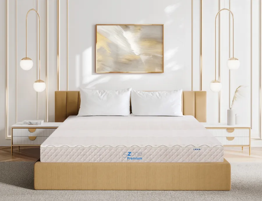 Nệm cao su 5ZONE Premium Nệm cao su 5ZONE Premium