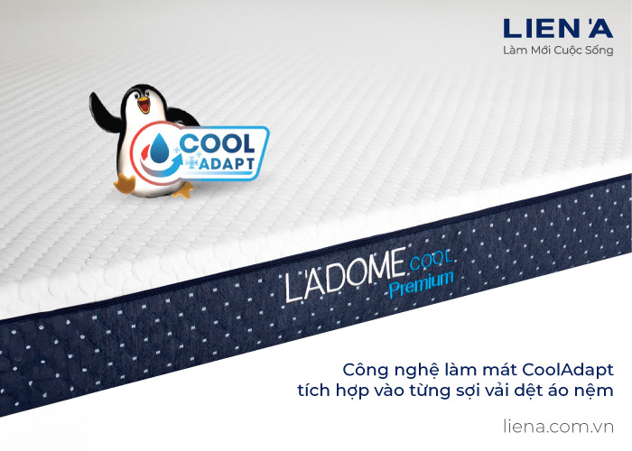 ladome cool cao cấp