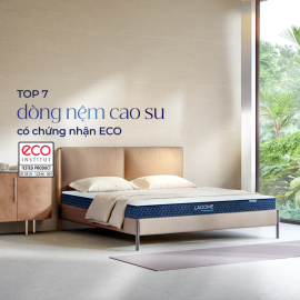 nem cao su co chung nhan eco