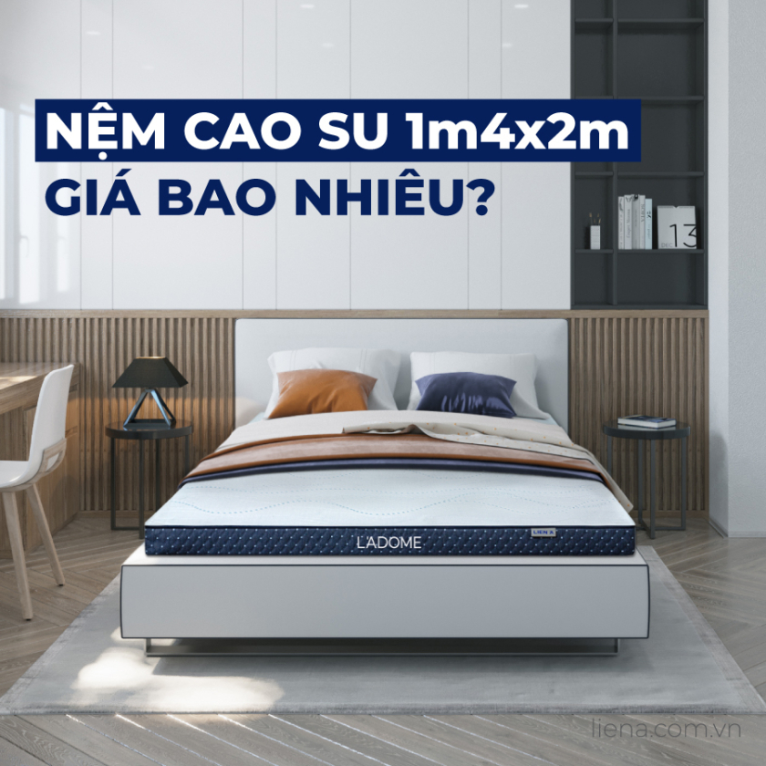 nệm cao su 1m4x2m