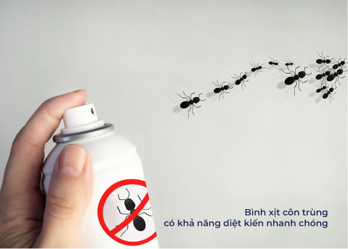 cách diệt kiến lửa trong phòng ngủ