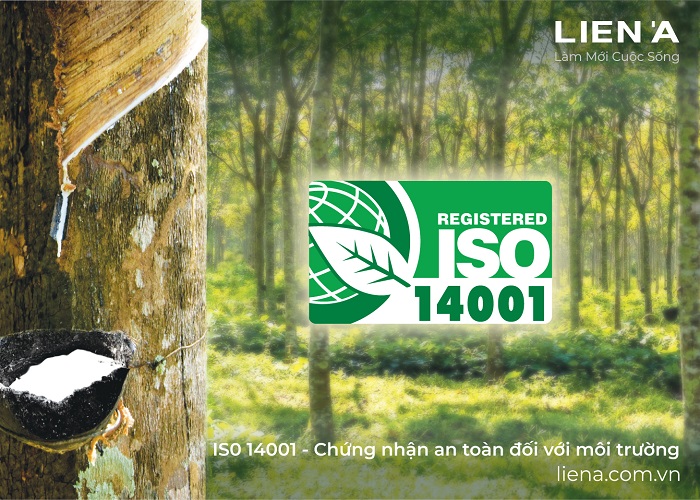 iso 14001 là gì