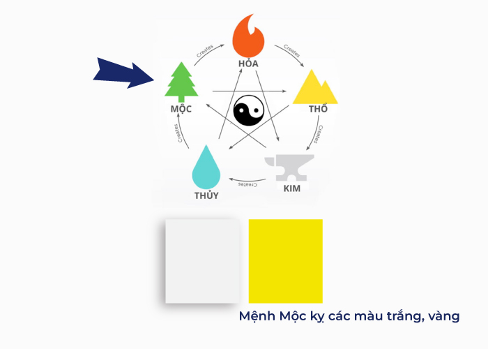 mạng mộc hợp màu gì