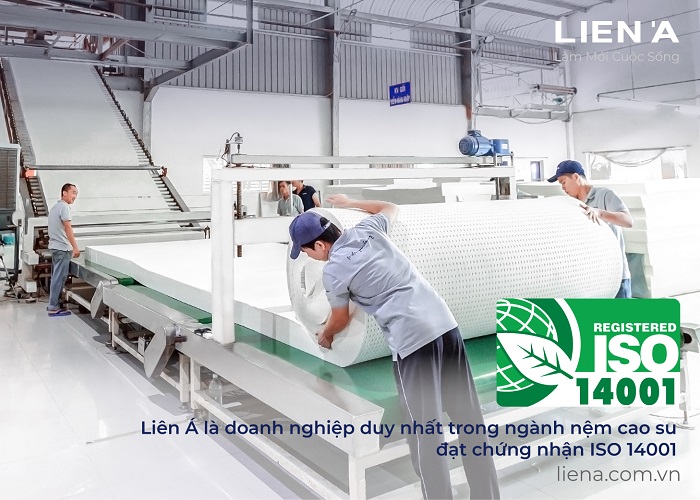 hệ thống quản lý môi trường iso 14001