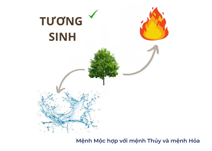 màu hợp mệnh mộc