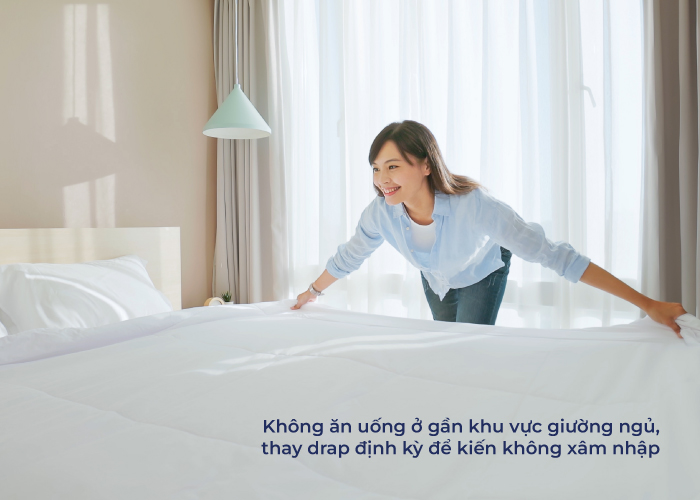 vệ sinh phòng ngủ để đuổi kiến